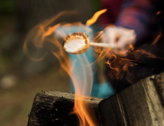 A person roasting a marshmallow over a campfire