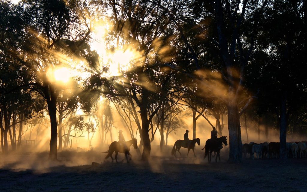 A group of people horseback riding