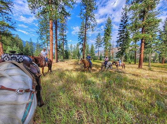 People horseback riding in the woods